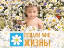 Акция "Подари мне жизнь!"